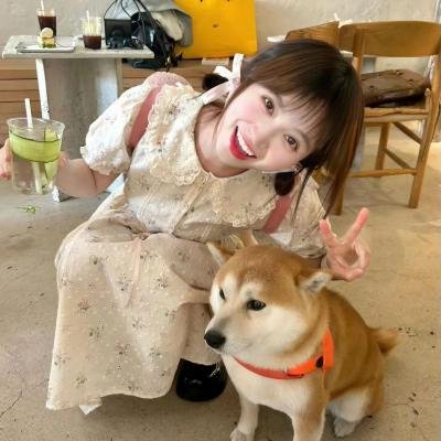 猪太狼的夏天