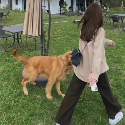 芬兰的汤姆